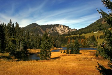 佛山顺德区5民间私贷攻略：揭秘低成本借贷的秘密