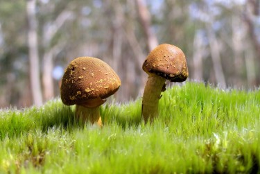 佛山顺德区5私人老板放款：轻松融资的秘密通道